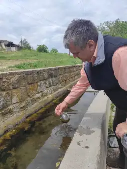 Сашко Тодоров